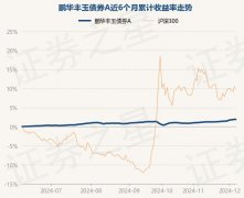 12月6日基金净值:鹏华丰玉债券A最新净值10656涨
