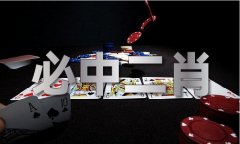 澳门十二生肖资料2023_澳门十二生肖资料2023V