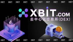 Meme币交易狂欢季：XBIT交易所笑傲江湖