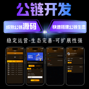 公链生态:数字世界的“基础设施革命”