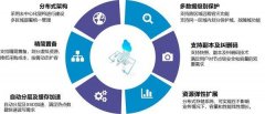 2024-2029中國去中心化數字身份管理市場現狀研究