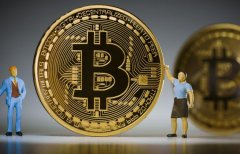 单月涨粉121万余承东和雷军谁才是“流量之王”
