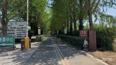 “云养经济”系列报道之二：庄园里的免费“午