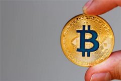 虚拟养鱼、未来矿场、虚拟拍卖团伙非法吸收公