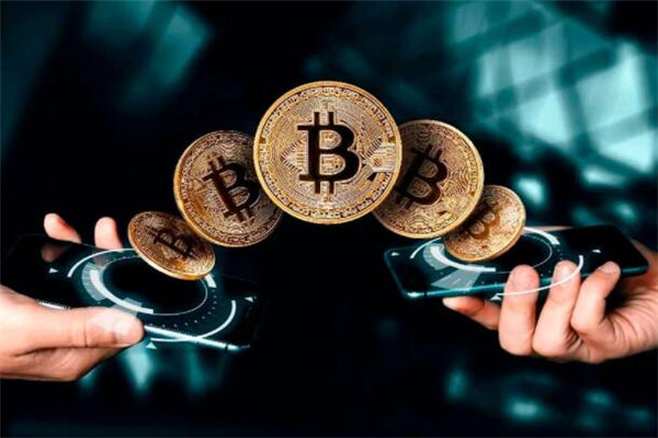 揭秘“虚拟养殖”:以高息返利为诱饵吸引投资上亿元