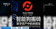 Plus Token传销案诈骗400亿：对不起我们跑路了