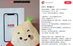 收割二次元小红书准备好了吗？